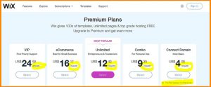 Wix Payment Plan